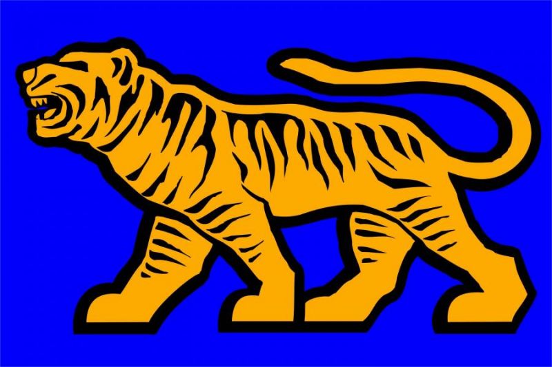 Файл:Логотип Товарищество инициативных граждан России.jpg