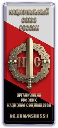 Логотип НСР.jpg